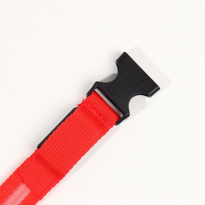 Ошейник с подсветкой размер М, ОШ 40-48 х 2,5 см, 3 режима свечения красный Ошейник с подсветкой размер М, ОШ 40-48 х 2,5 см, 3 режима свечения красный