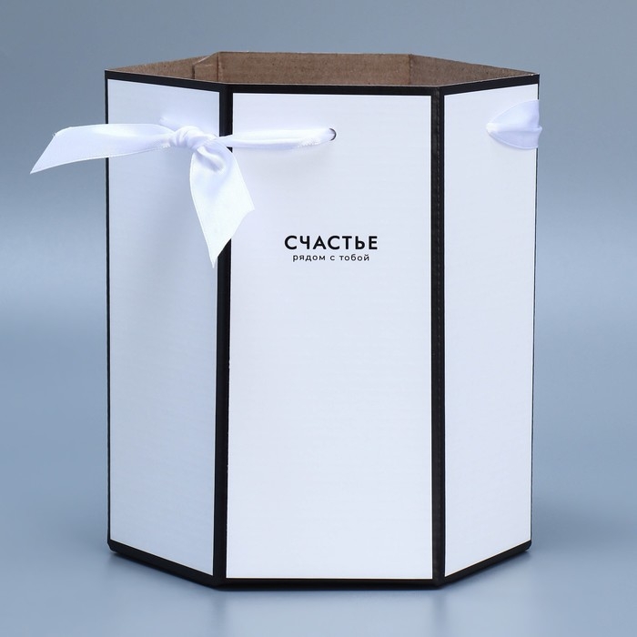 Переноска складная шестигранник «Счастье», 17 × 14,8 × 19,5 см Переноска складная шестигранник «Счастье», 17 × 14,8 × 19,5 см