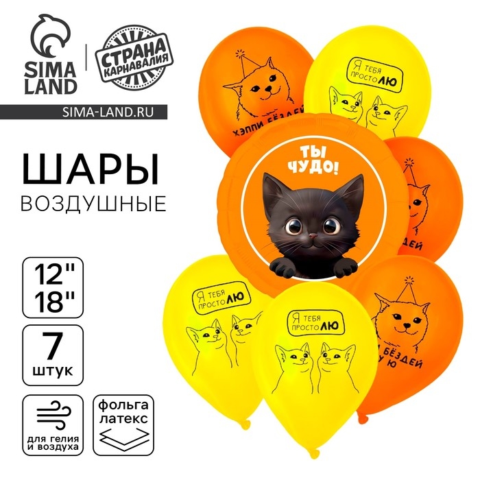 Набор воздушных шаров Набор воздушных шаров "С днём рождения. Котики", 7 шт.