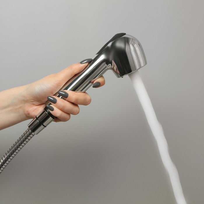 Душевая лейка Accoona A328, 2 режима, корпус пластик, цвет хром Душевая лейка Accoona A328, 2 режима, корпус пластик, цвет хром