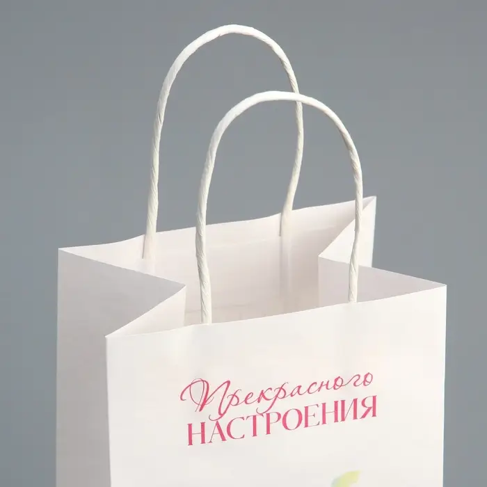 Пакет подарочный под бутылку, упаковка, «Прекрасного настроения», белый крафт, 13 х 36 х 10 Пакет подарочный под бутылку, упаковка, «Прекрасного настроения», белый крафт, 13 х 36 х 10