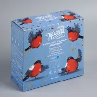 Гирлянда &laquo;Бахрома&raquo; 2.4&times;0.9 м с насадками &laquo;Снежинки&raquo;, IP20, прозрачная нить, 150 LED, свечение синее, 8 режимов, 220 В