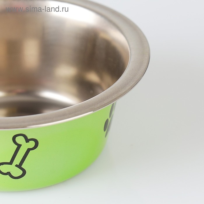 Миска стандартная цветная с принтом, 240 мл, зелёная Миска стандартная цветная с принтом, 240 мл, зелёная