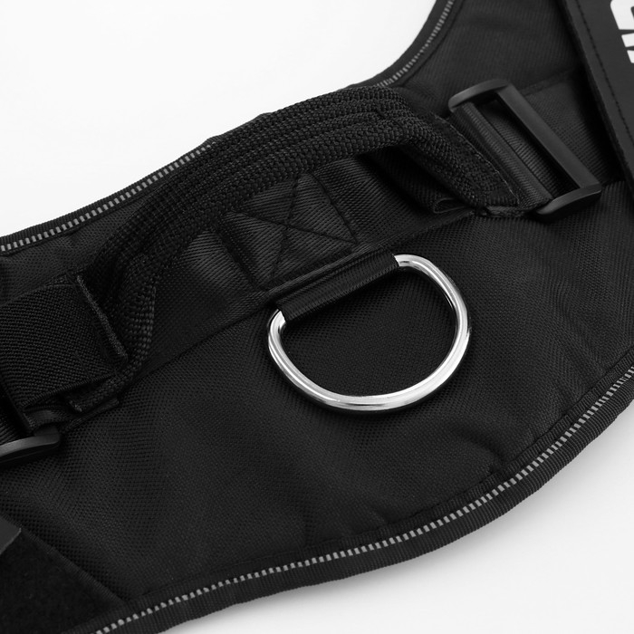 Шлейка К9 мягкая светоотражающая, размер ХХL, ОГ 95-110 см, вес 40-70 кг, чёрная Шлейка К9 мягкая светоотражающая, размер ХХL, ОГ 95-110 см, вес 40-70 кг, чёрная