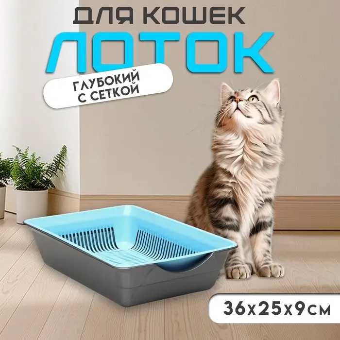 Туалет глубокий с сеткой 36&times;25&times;9 см, голубой/серый