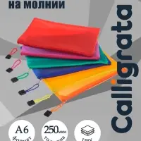 Папка-конверт на молнии Calligrata А6 (175&times;130 мм), с сеткой внутри, МИКС