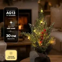 Фигура светодиодная &laquo;Ель и ягоды&raquo; 30&times;23&times;20 см, 10 LED, батарейки AG13&times;3 (в комплекте), свечение тёплое белое