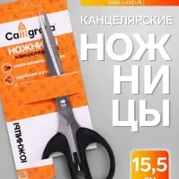 Ножницы канцелярские 15.5 см, &laquo;Офис&raquo;, пластиковые ручки, европодвес, МИКС