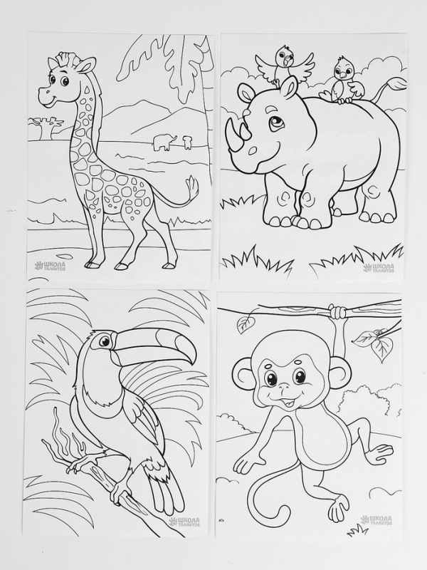 Набор для творчества Набор для творчества "Сафари"