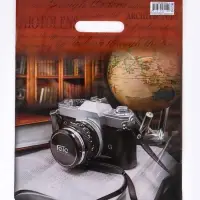 Пакет подарочный &laquo;Объектив&raquo; полиэтиленовый с вырубной ручкой, ламинированный 31&times;40 см, 30 мкм