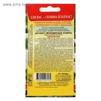 Семена Бегония вечноцветущая "Оломоуц", F1, 3 г Семена Бегония вечноцветущая "Оломоуц", F1, 3 г