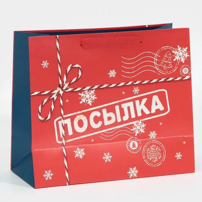 Пакет подарочный новогодний ламинированный «Посылка для тебя», MS 18 х 23 х 10 см