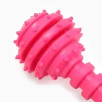 Жевательная игрушка для собак &laquo;Чемпион&raquo;, 12.5 см, TPR, розовая