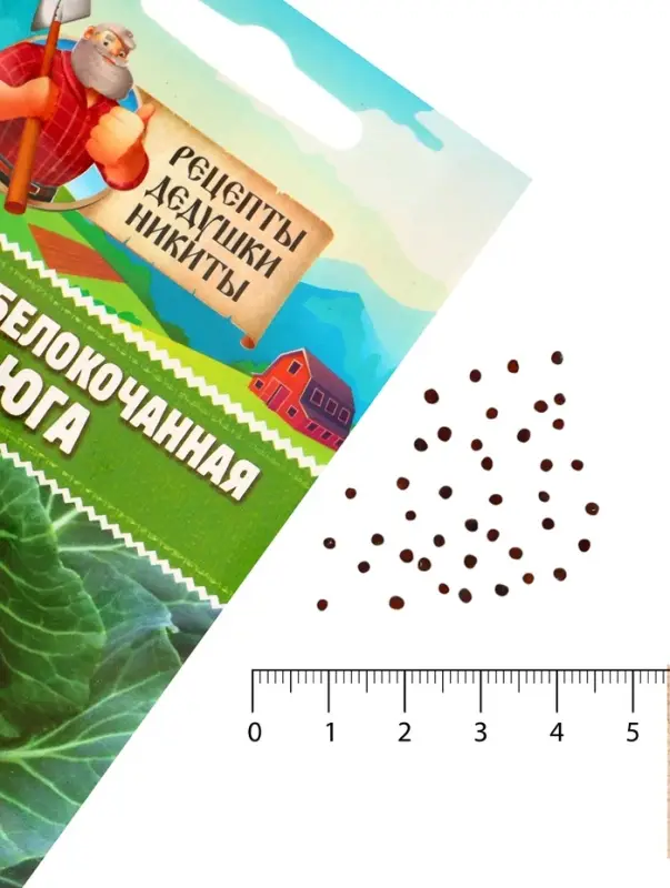 Семена Капуста белокочанной  Семена Капуста белокочанной "Вьюга", 0,3 г