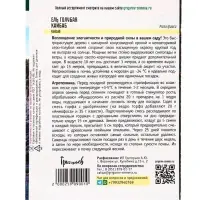 Семена Ель голубая &laquo;Кайбаб&raquo;, 15 шт., &laquo;Григорьев&raquo;