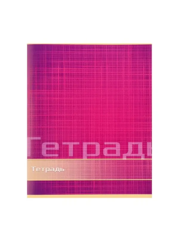 Тетрадь 48 листов в линейку Calligrata «Цвет и графика», обложка мелованная бумага, блок №2, белизна 75% (серые листы), МИКС