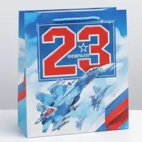 Пакет подарочный ламинированный, упаковка, «23 февраля», ML 23 х 27 х 11.5 см Пакет подарочный ламинированный, упаковка, «23 февраля», ML 23 х 27 х 11.5 см