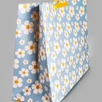 Пакет подарочный &laquo;Веселье&raquo;, XL, 49 х 40 х 19 см