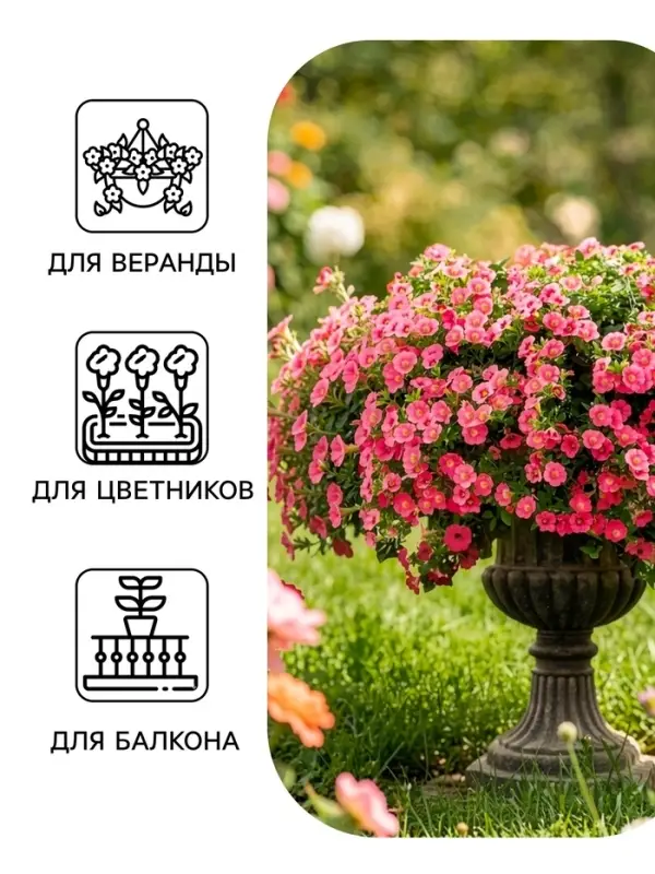 Семена цветов Петуния &laquo;Минибелло&raquo; F1, сакура, многоцветковая, 5 шт., Farao, &laquo;АЭЛИТА&raquo;