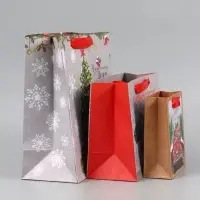Пакеты подарочные новогодние &laquo;Чудесного Года&raquo;, набор 3 шт., 12&times;15&times;5.5 см, 23&times;18&times;10 см, 23&times;27&times;11.5 см