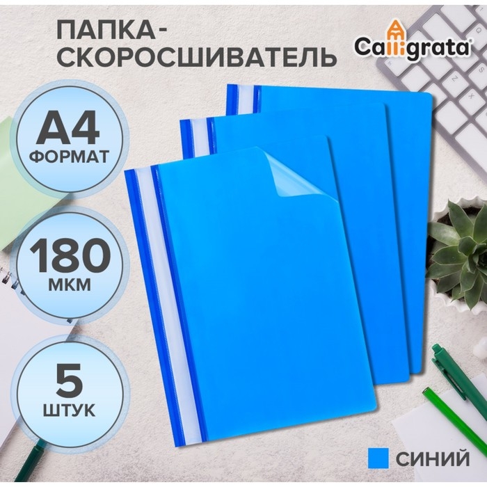 Набор папок-скоросшивателей А4, 5 штук, Calligrata, 180 мкм, с прозрачным верхом, синий Набор папок-скоросшивателей А4, 5 штук, Calligrata, 180 мкм, с прозрачным верхом, синий