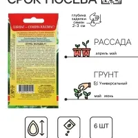 Семена Огурец "Молодец", F1, 6 шт