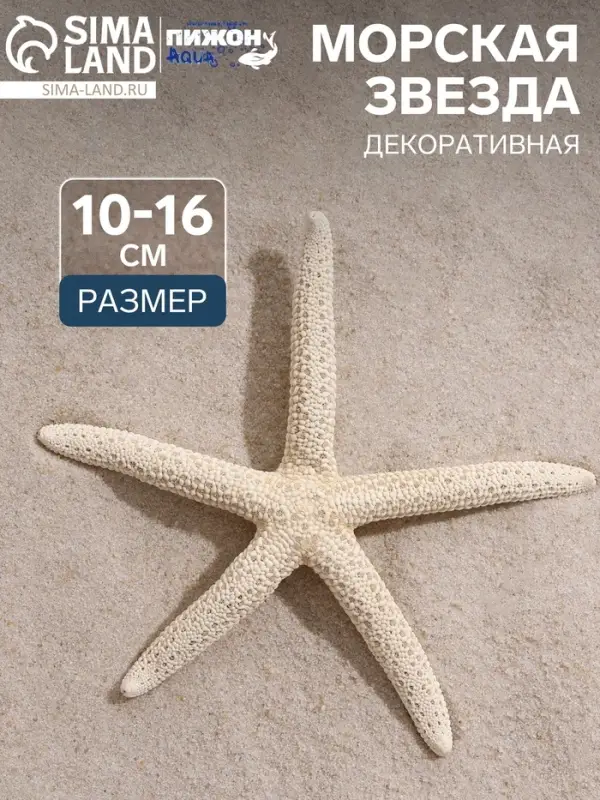 Морская звезда декоративная, 10-16 см