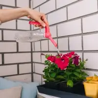 Лейка-насадка на бутылку для полива растений