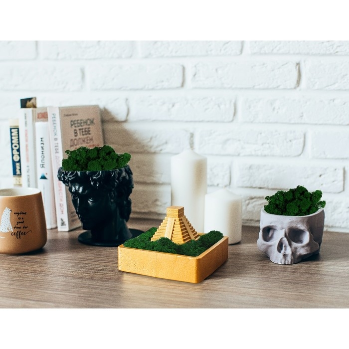 Кашпо бетонное Кашпо бетонное "Череп" со мхом черный 13х9х6,5 см (мох зеленый стабилизированный)