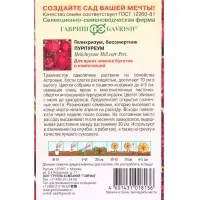Семена цветов Гелихризум Пурпуреум* 0,1 г
