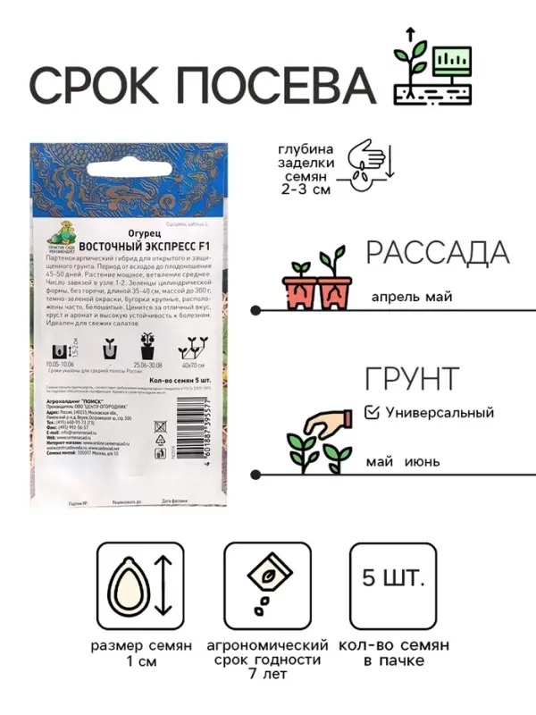 Семена огурца "Восточный экспресс", F1, 5 шт.