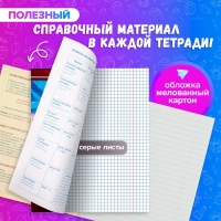 Комплект предметных тетрадей 48 листов «Металл», 10 предметов, со справочным материалом, обложка мелованный картон, блок №2, белизна 75% (серые листы)