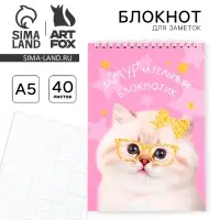 Блокнот, А5, 40 л., обложка картон &laquo;Котик&raquo;