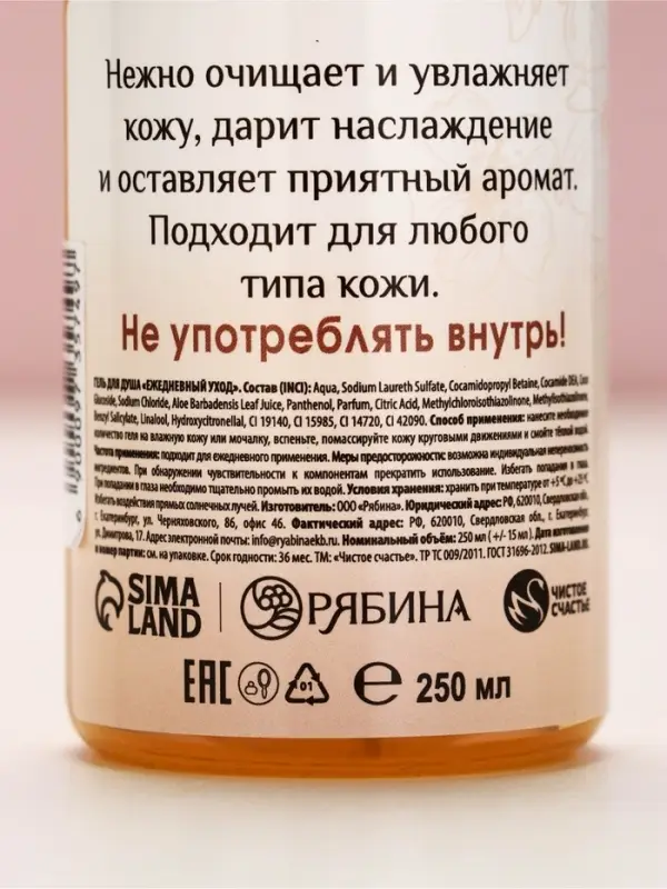 Гель для душа во флаконе шампанское &laquo;С Новым годом!&raquo;, фруктовый аромат, 250 мл, Чистое счастье