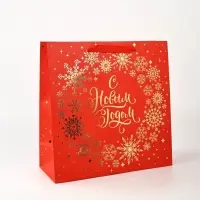 Набор новогодних пакетов «С Новым Годом!» Набор новогодних пакетов «С Новым Годом!»