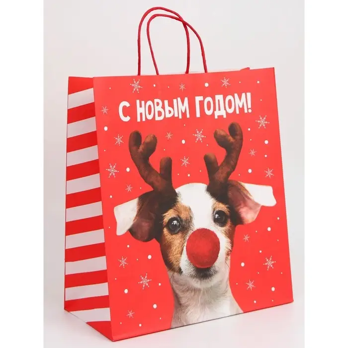 Набор новогодних крафтовых пакетов «С Новым годом тебя!» Набор новогодних крафтовых пакетов «С Новым годом тебя!»