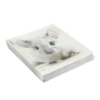 Тетрадь 48 листов в клетку ErichKrause Whiteout, 60 г/м&sup2;, обложка мелованный картон, МИКС