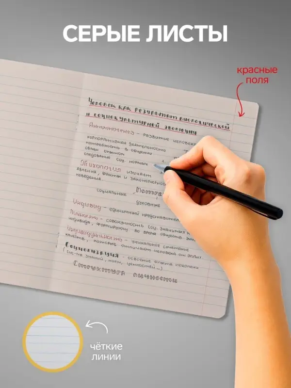 Комплект тетрадей из 10 штук, 18 листов в линию Calligrata "Котятки", обложка мелованная бумага, ВД-лак, блок №2, белизна 75% (серые листы), 5 видов по 2 штуки