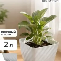 Горшок для цветов с поддоном СибПолимер &laquo;Классика&raquo;, 2 л, пластиковый, белый