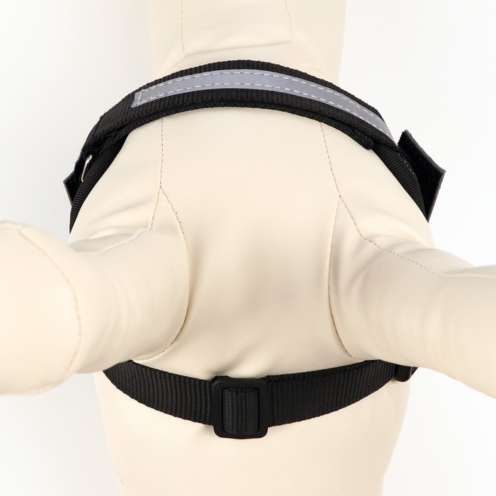 Шлейка К9 мягкая светоотражающая, размер ХS, ОГ 38-50 см, вес 3-6 кг, фиолетовая Шлейка К9 мягкая светоотражающая, размер ХS, ОГ 38-50 см, вес 3-6 кг, фиолетовая