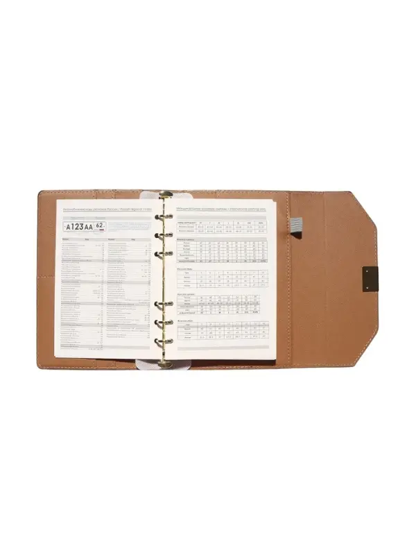 Органайзер на кольцах, C6, с клапаном, 80л, линия, к/зам, Черный Органайзер на кольцах, C6, с клапаном, 80л, линия, к/зам, Черный