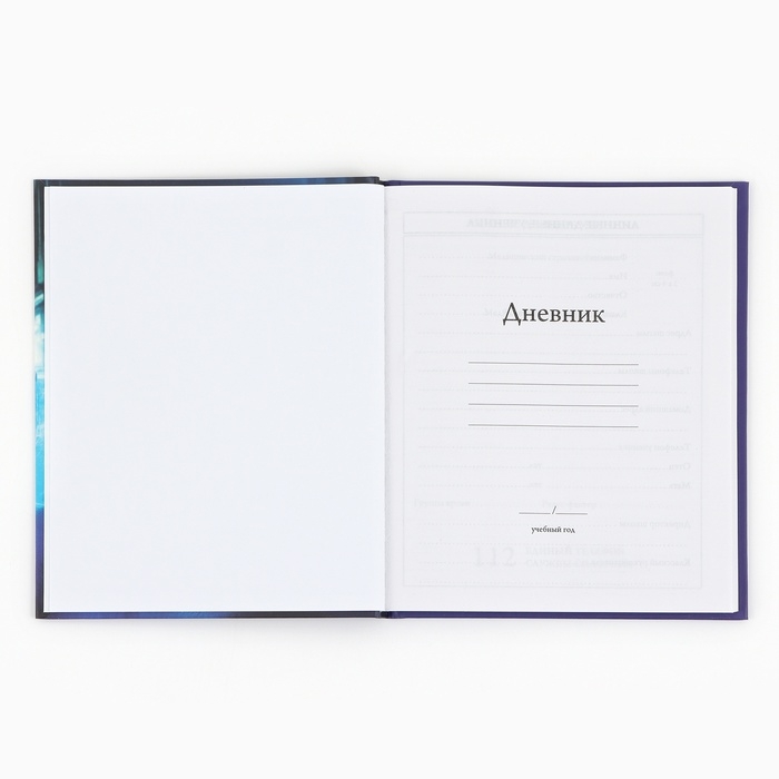 Дневник школьный для 1-4 класса, в твердой обложке, 48 л Street racing