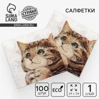 Салфетки бумажные однослойные «Котёнок», набор 100 штук, 24 × 24 см
