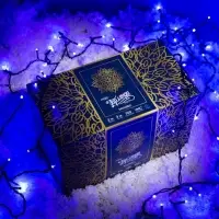 Гирлянда &laquo;Занавес&raquo; 2&times;3 м, IP44, УМС, тёмная нить, 760 LED, свечение синее, 220 В