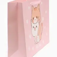 Пакет подарочный ламинированный, упаковка, &laquo;Вместе&raquo;, L 40&times;31&times;11.5 см