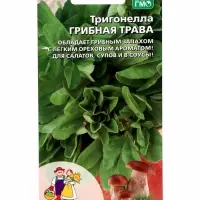 Семена Тригонелла &laquo;Грибная трава&raquo;, 1 г