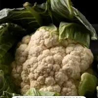 Семена Капуста цветная, &laquo;Форталеза&raquo;, F1, 10 шт., Seminis, &laquo;Агрос&raquo;