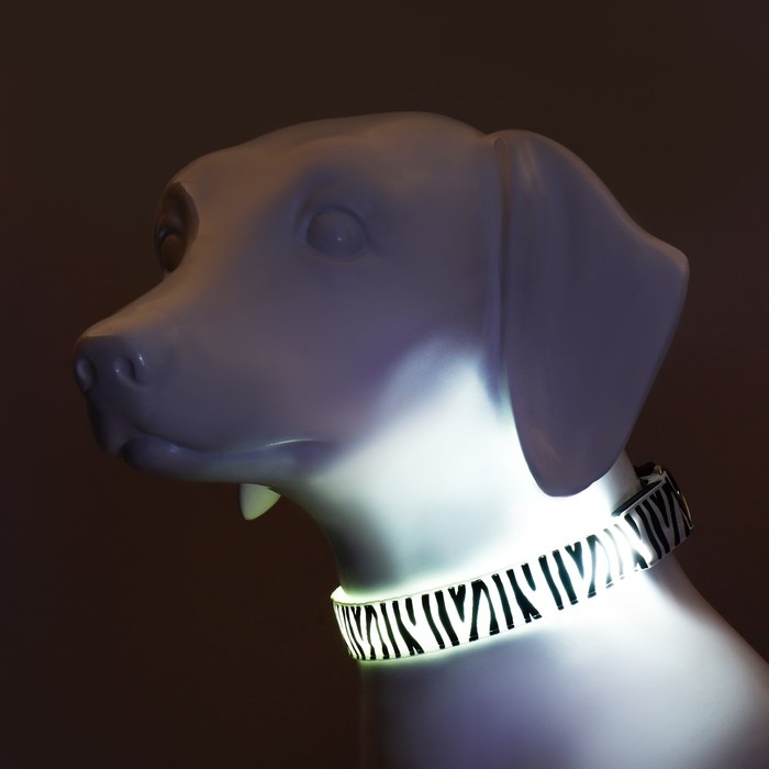 Ошейник с подсветкой Зебра 3 режима свечения размер XL, ОШ 60-70 х 2,5 см белый Ошейник с подсветкой Зебра 3 режима свечения размер XL, ОШ 60-70 х 2,5 см белый
