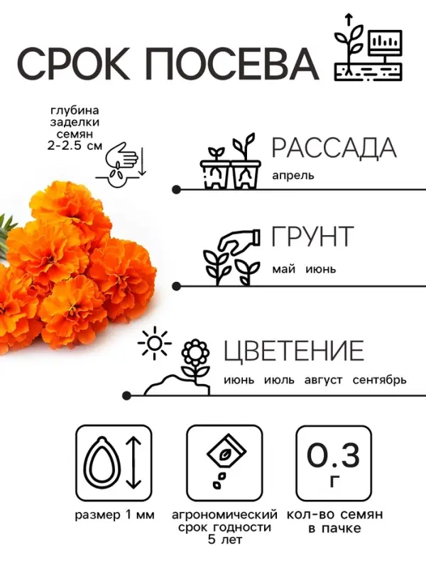 Семена цветов Бархатцы прямостоячие  Семена цветов Бархатцы прямостоячие "Оранжевый принц", 0,3 г