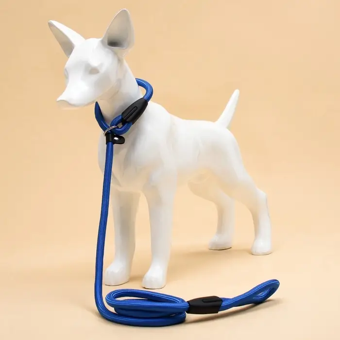 Ринговка для собак, 130&times;1 см, синяя